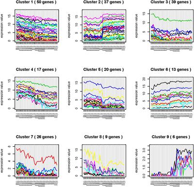 MiRNA Profiling in Pectoral Muscle Throughout Pre- to Post-Natal Stages of Chicken Development